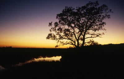 Kanada 1.jpg