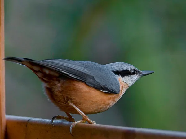 20120110-IMGP6848.webp