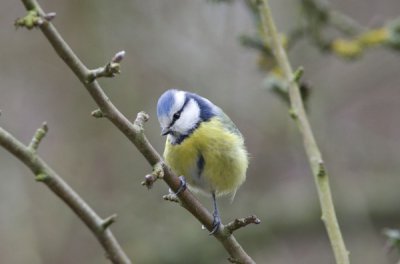 IMGP9512.JPG IMGP9512.JPG