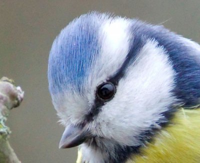 IMGP9512_1.JPG IMGP9512_1.JPG