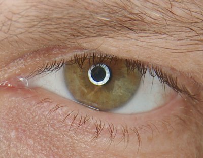 ringflash3.jpg ringflash3.jpg