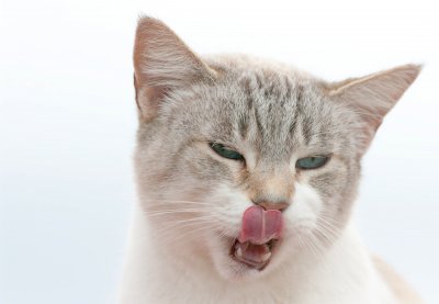 Blanca_1.jpg