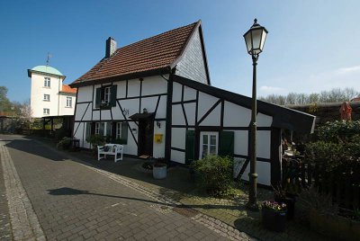 IMGP7893.JPG