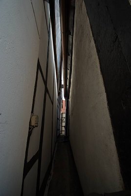 IMGP7899.jpg