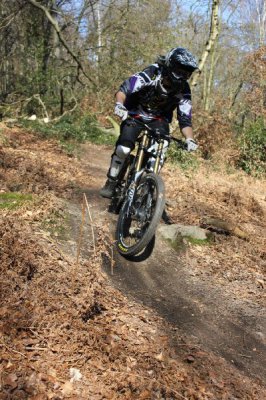 IMG_3147 (Kopie).JPG IMG_3147 (Kopie).JPG