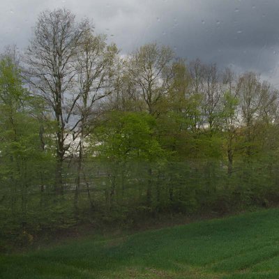 polfilter3_800.jpg polfilter3_800.jpg