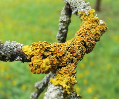 pi_SAM_2967.jpg pi_SAM_2967.jpg