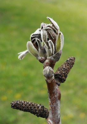 pi_SAM_2964.jpg pi_SAM_2964.jpg