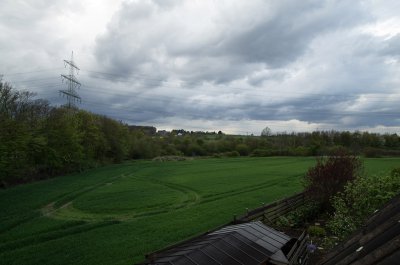 mit pol1_800.jpg