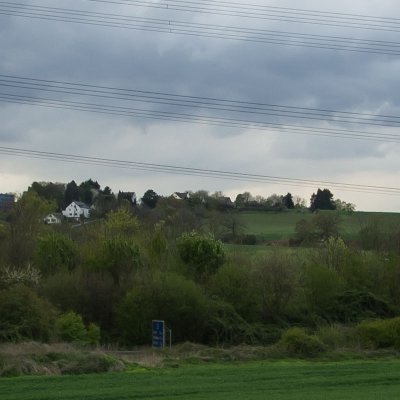 mit pol1_crop.jpg