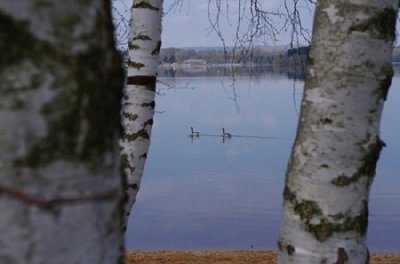durchblick.jpg