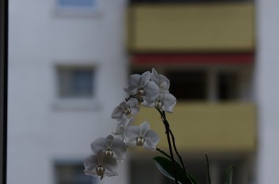 012.JPG
