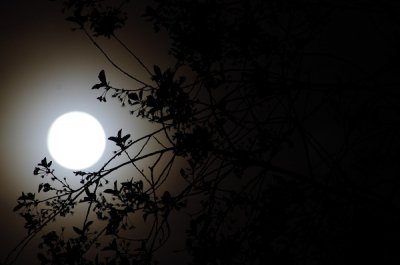Mond2.jpg