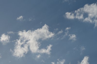 IMGP6937 - Arbeitskopie 2.jpg