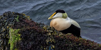 20120508-PICA8952-Bearbeitet.jpg 20120508-PICA8952-Bearbeitet.jpg