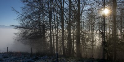 PENTAX K-5 17 mm 1-320 Sek. bei f - 9.0 ISO 100.jpg