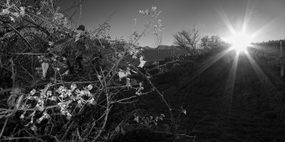 PENTAX K-7 16 mm 1-80 Sek. bei f - 10 ISO 100.jpg
