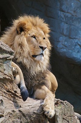 comp_Hagenbeck bearbeitet 149.jpg comp_Hagenbeck bearbeitet 149.jpg