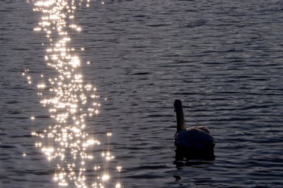 IMGP3229_pf.jpg