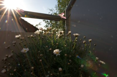 IMGP7453.jpg