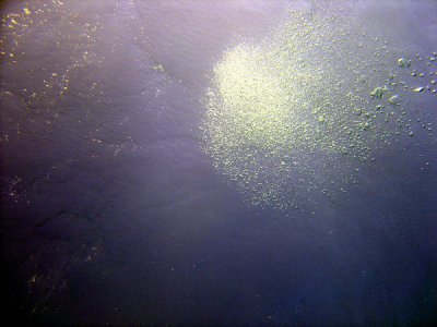 comp_f43494672.jpg