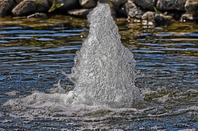 IMGP1646.jpg