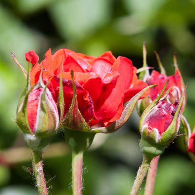 _G105819.jpg _G105819.jpg