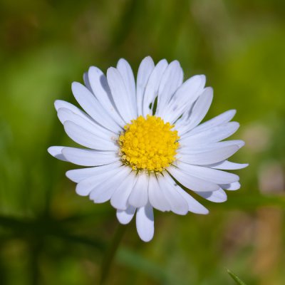 _G105828.jpg _G105828.jpg