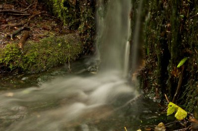 IMGP8426.jpg