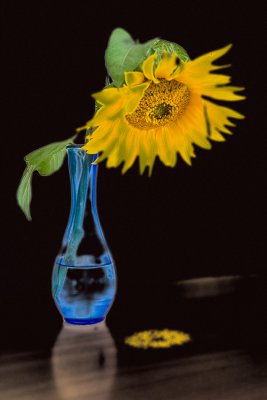 pi_IMGP3116.jpg