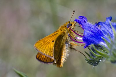 20120610-_IGP0999.jpg