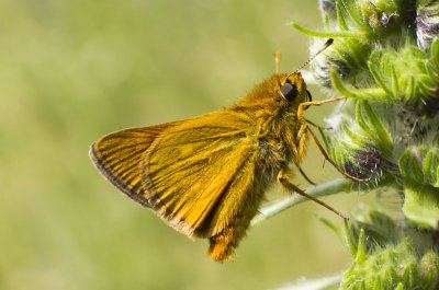 20120610-_IGP1011.jpg