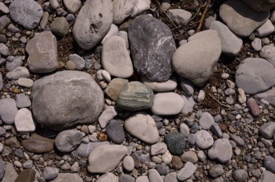 IMGP0236.jpg