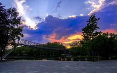 IMGP5744PM_800.jpg IMGP5744PM_800.jpg