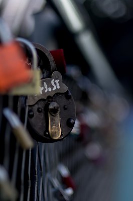 IMGP5767_800.jpg IMGP5767_800.jpg