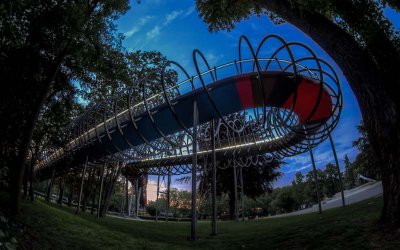 IMGP5831PM_800.jpg IMGP5831PM_800.jpg