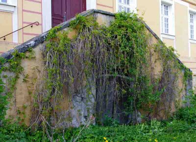 IMGP3822 Kopie.jpg