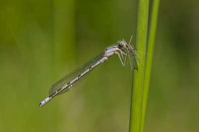 20120520-_IGP0020.jpg