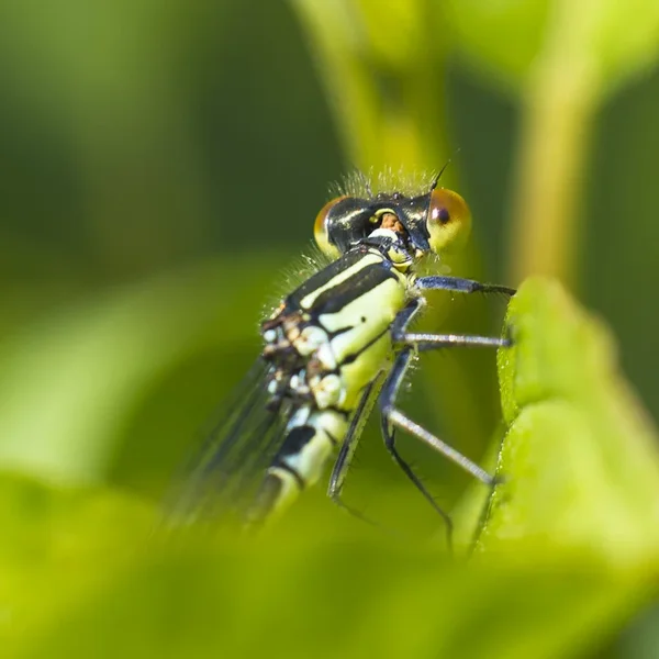 20120607-_IGP0665.jpg