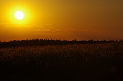Sonnenuntergang Münchshofen1.jpg