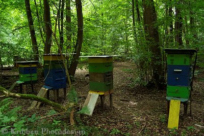 (c)_Kribben_Photodesign_Bienenstaende.jpg