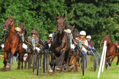 20090729-HFO_3138.jpg 20090729-HFO_3138.jpg