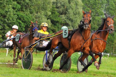 20090729-HFO_3146.jpg 20090729-HFO_3146.jpg