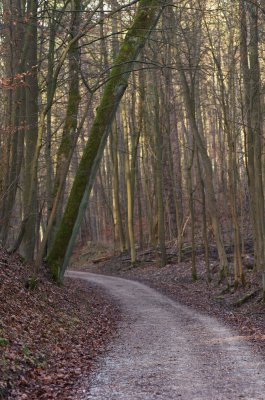 IMGP4019 (1).jpg