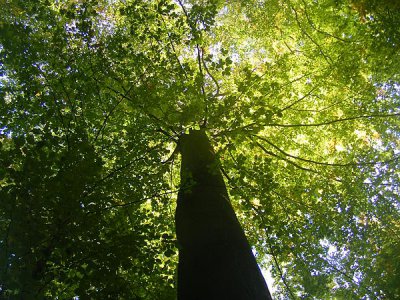 WDSCF5744_comp.jpg