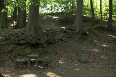 IMGP1920.jpg