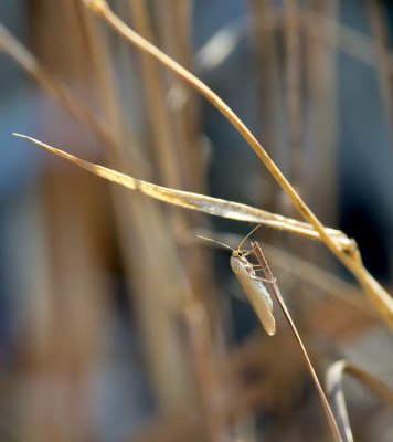 wie findet man den_20120625.JPG