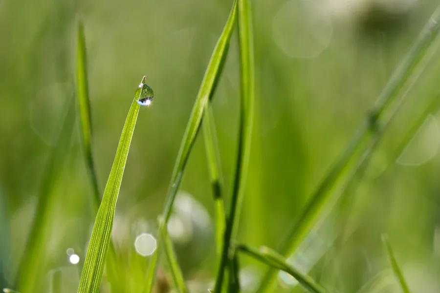 IMGP8901 (1).webp