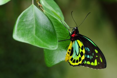 2012-06-25__Mainau__K7_23407_PS_on.jpg