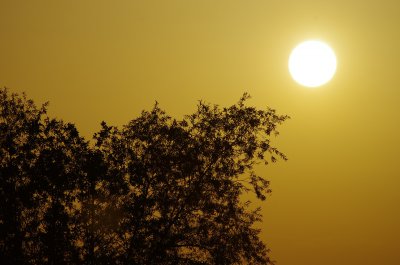 Sonnenu2.jpg